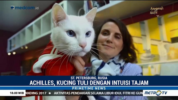 Kucing Peramal Piala Dunia 2018