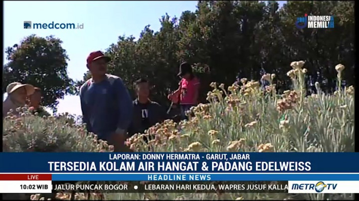 Gunung Papandayan Dipadati Wisatawan