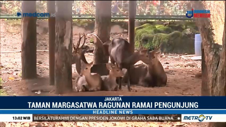 Ragunan Masih Jadi Favorit Warga untuk Berlibur