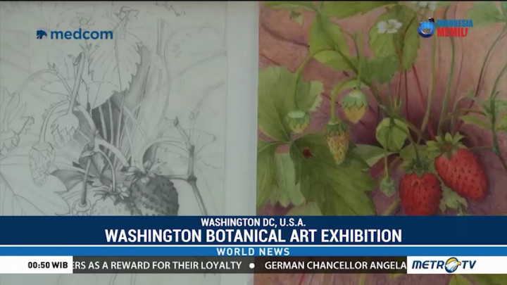 Washington Exhibit Showcases Delicate Beauty of Botanical Art