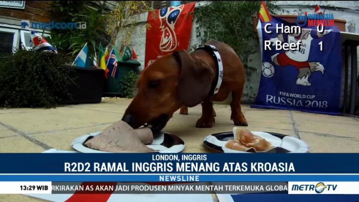 Ramalan R2D2 untuk Laga Kroasia vs Inggris