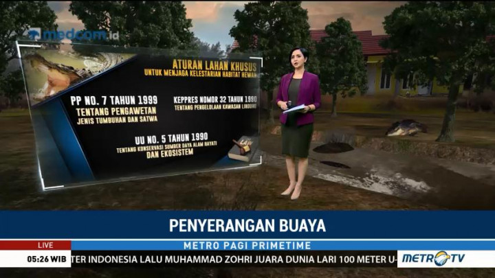 Daftar Kasus Penyerangan Buaya Terhadap Manusia