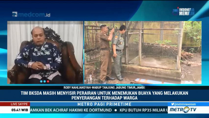Menguak Penyebab Serangan Buaya Terhadap Manusia