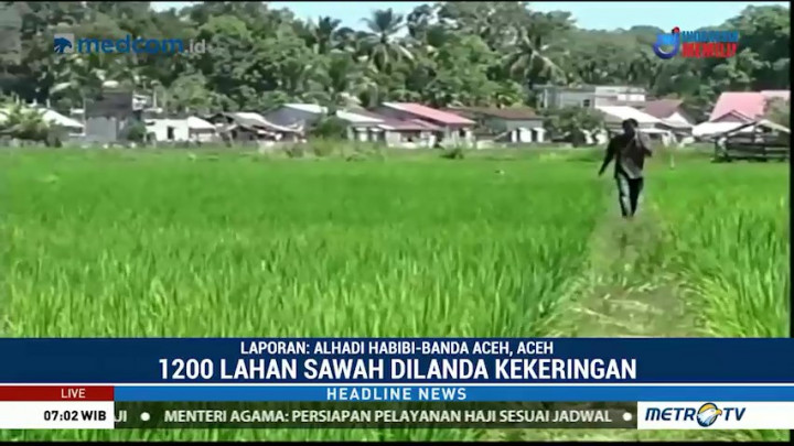 Kekeringan, Petani di Aceh Barat Terancam Gagal Panen