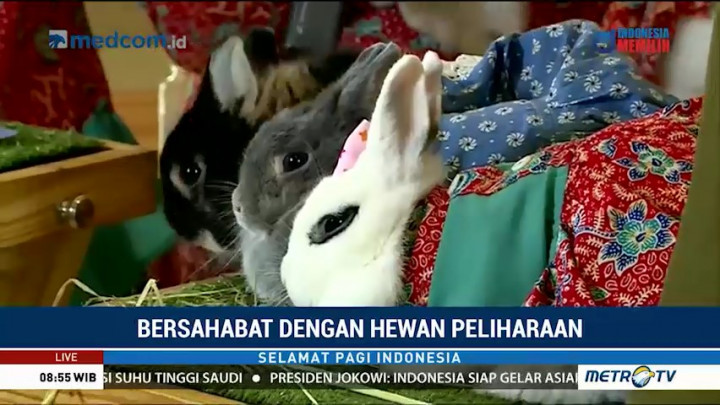 Bersahabat dengan Hewan Peliharaan (3)