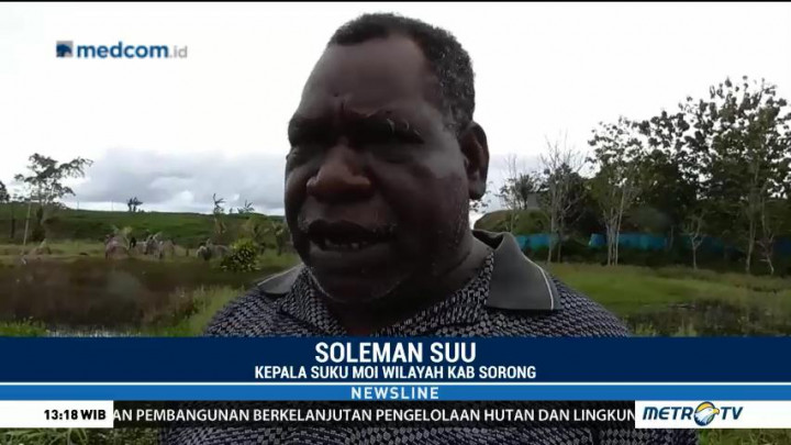 Kepala Suku Moi Minta Pemerintah Cabut Izin Penangkaran Buaya
