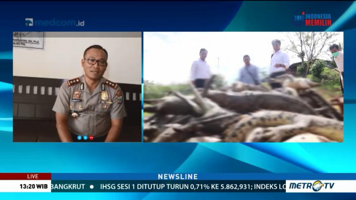 Warga & Pemilik Penangkaran Buaya Sepakat Tak Tempuh Jalur Hukum