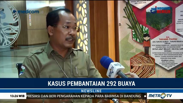 BKSDA Bantah Penangkaran Buaya di Sorong Dekat Permukiman