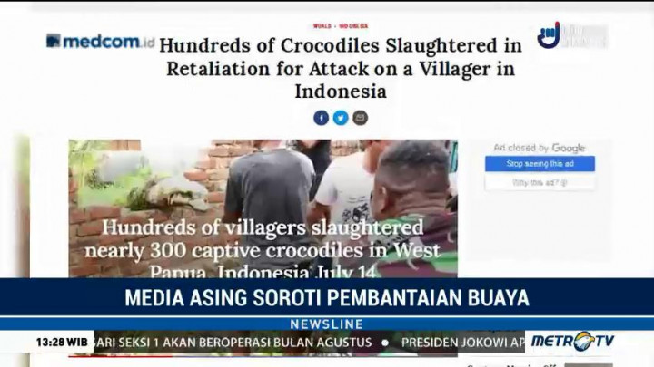 Media Asing Soroti Pembantaian Buaya di Sorong