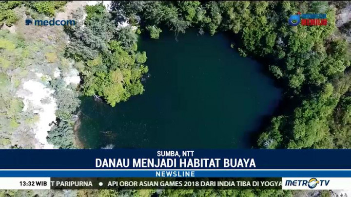 Danau Waimulang di Sumba Jadi Habitat Buaya