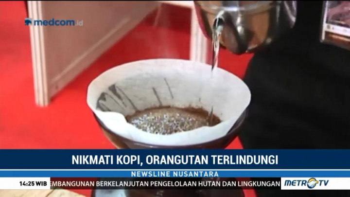 Nikmati Kopi, Orang Utan Terlindungi