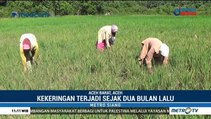 Aceh Dilanda Kekeringan