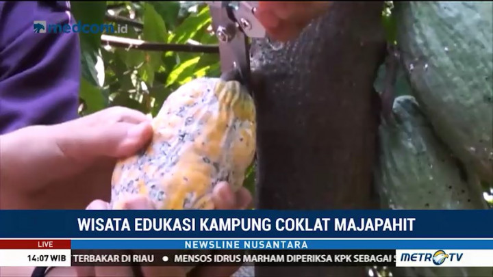Wisata Edukasi di Kampung Coklat