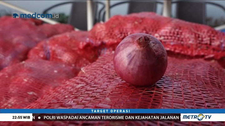 Tipu-tipu Bawang Impor (3)