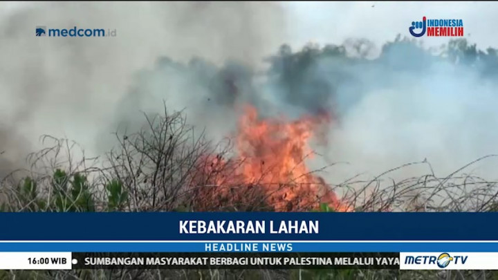 Kebakaran Lahan di Palangka Raya Kian Meluas