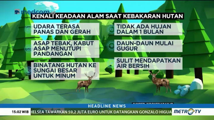 Kenali Penyebab dan Cara Pencegahan Kebakaran Hutan