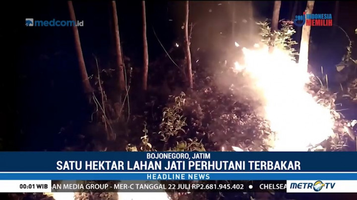 Satu Hektare Hutan Jati di Bojonegoro Ludes Terbakar