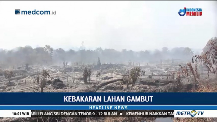 100 Hektare Lahan di Rokan Hilir Terbakar