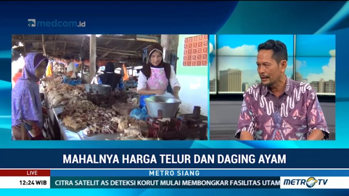 Harga Telur & Ayam Naik Akibat Kebijakan Kementan?