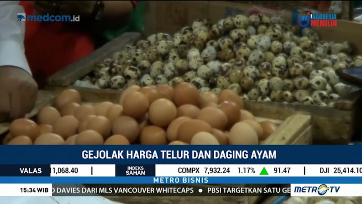 Gejolak Harga Telur dan Daging Ayam