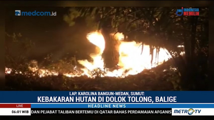 50 Hektare Hutan Lindung di Balige Terbakar