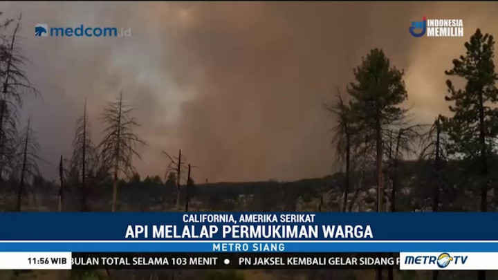 Kebakaran Lahan Merambat ke Permukiman Warga California