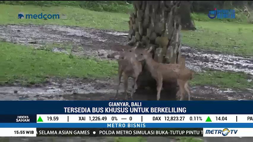 Wisata Safari ala Bali