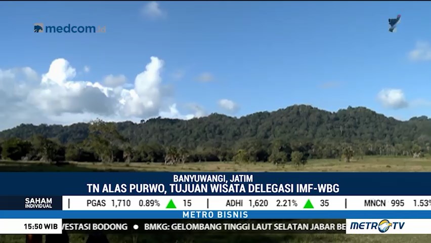 Taman Nasional Alas Purwo Dipersiapkan untuk Delegasi IMF-WBG