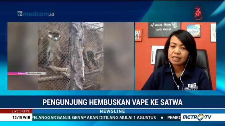 Kondisi Monyet yang Disembur Uap Vape Masih Dipantau