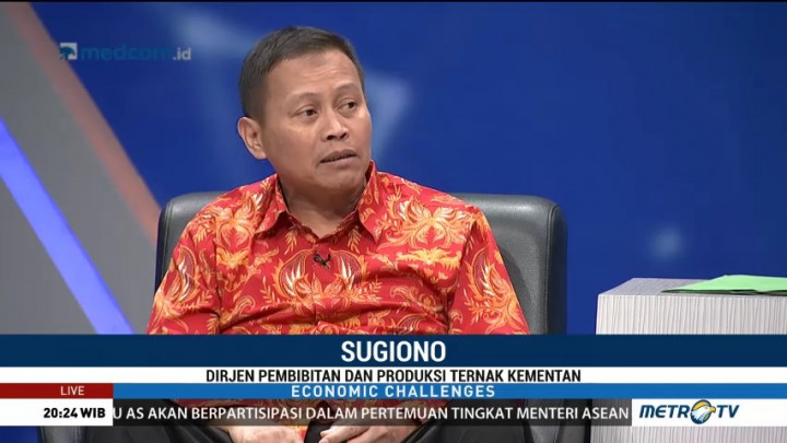 Kata Kementan Soal Penyebab Tingginya Harga Daging Ayam