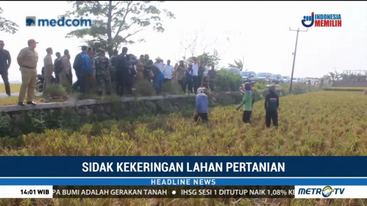 6 Ribu Hektare Sawah di Indramayu Terancam Rusak Karena Kekeringan