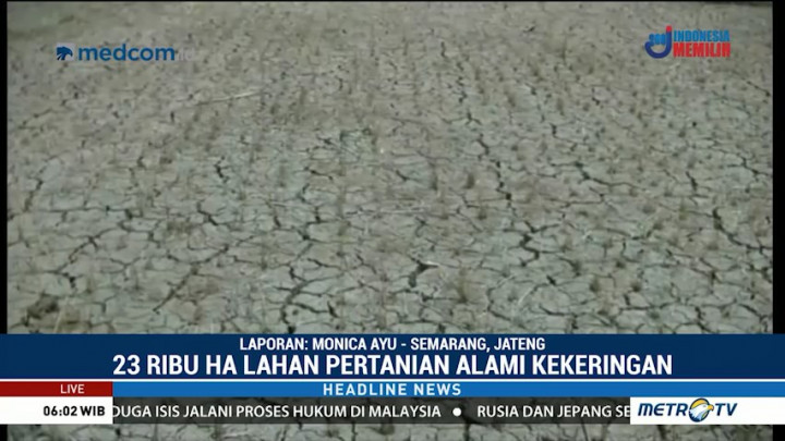 23 Ribu Hektare Lahan Pertanian di Jawa Tengah Terdampak Kekeringan