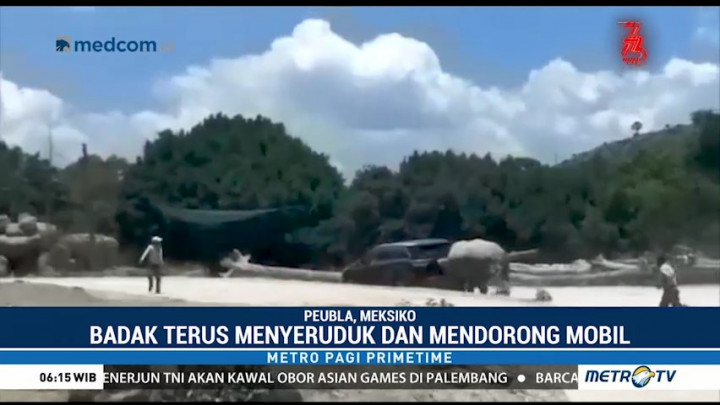 Seekor Badak Mengamuk di Taman Safari Meksiko