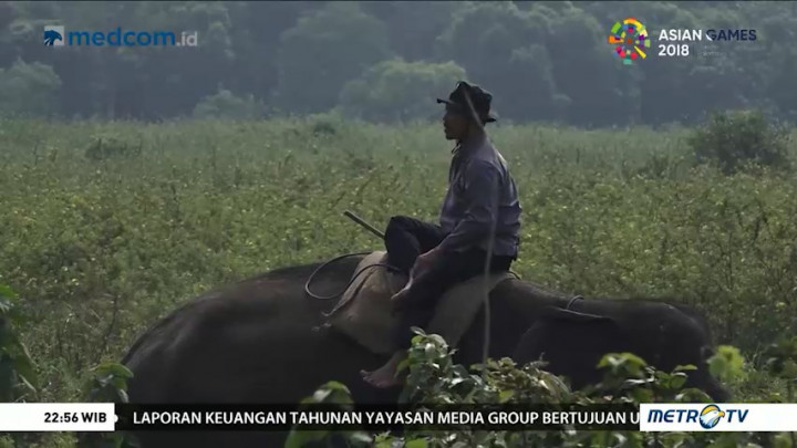 Bersahabat dengan Gajah (3)