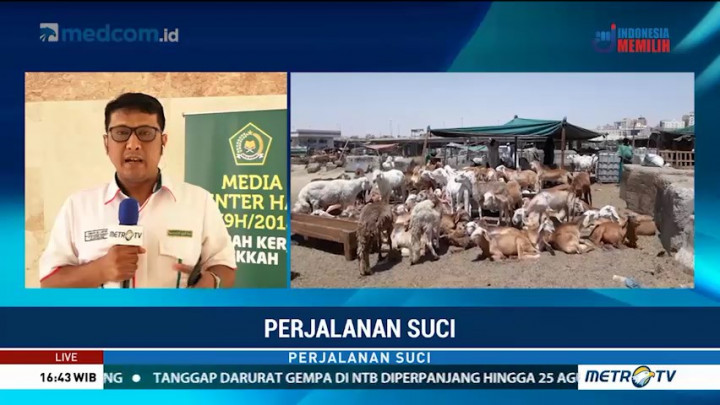 Jemaah Haji Indonesia Lebih Memilih Beli Kurban untuk Bayar Dam