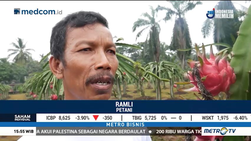 BioPeat, Solusi Pemanfaatan Lahan Gambut