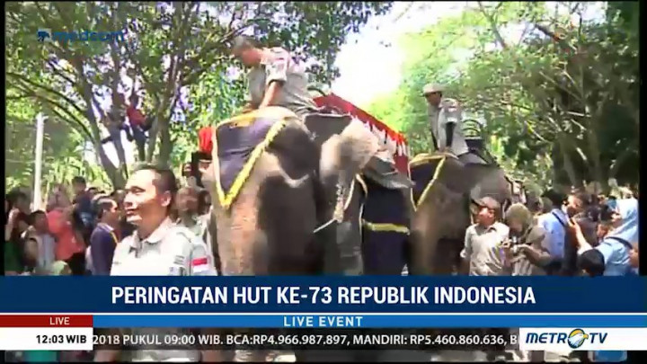 Dua Gajah Ikut Ramaikan Upacara Peringatan HUT ke-73 RI di Langkat