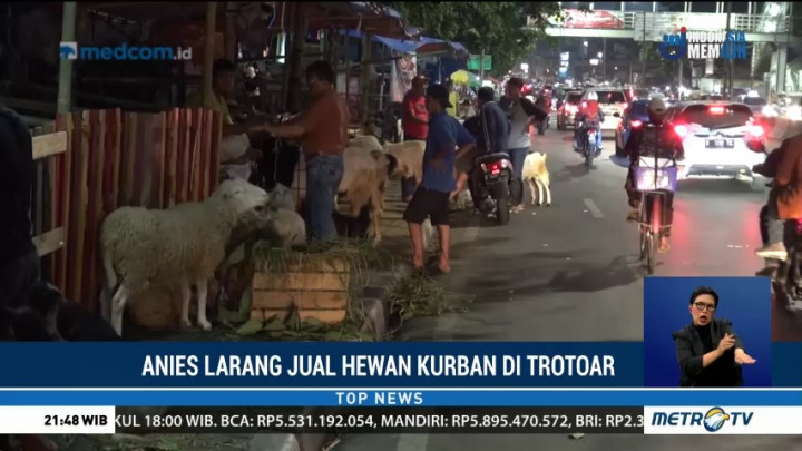 Anies Larang Pedagang Jual Hewan Kurban di Trotoar