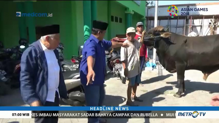 DPP NasDem Sumbang Satu Ekor Sapi ke PCNU Gresik