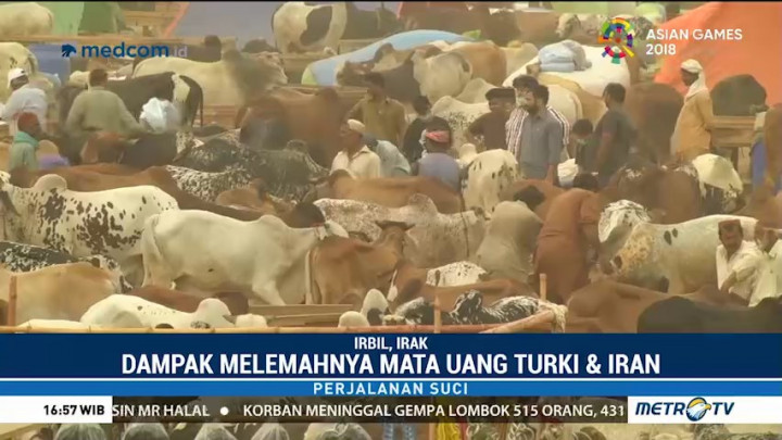 Bisnis Hewan Kurban di Irak Melemah