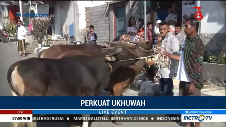 Jokowi Berkurban Sapi 800 Kg di Lombok Timur