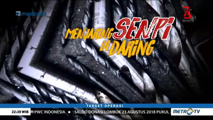 Menjaring Senpi di Daring (1)