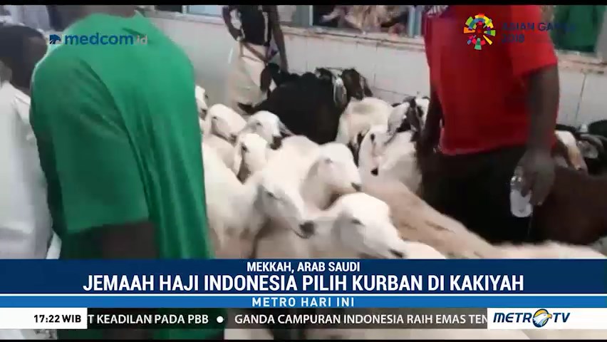 Jemaah Haji Indonesia Pilih Kurban di Kakiyah