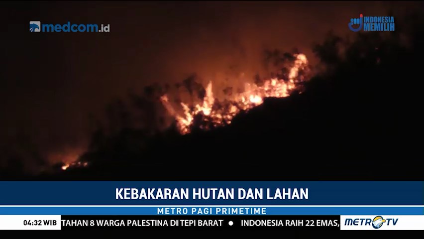 Ratusan Hektare Hutan Pinus di Simalungun Terbakar