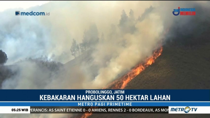 50 Hektare Padang Rumput Gunung Bromo Terbakar