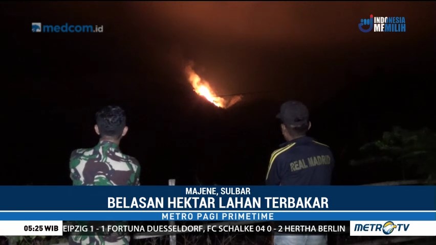 Kebakaran Lahan di Majene Meluas