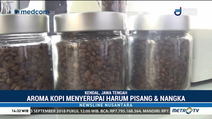 Icip-icip Kelezatan Kopi Excelsa Kendal