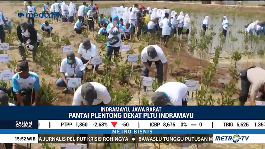 Aksi Penanaman Mangrove di Pantai Plentong