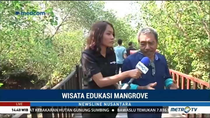 Ekowisata Mangrove di Surabaya