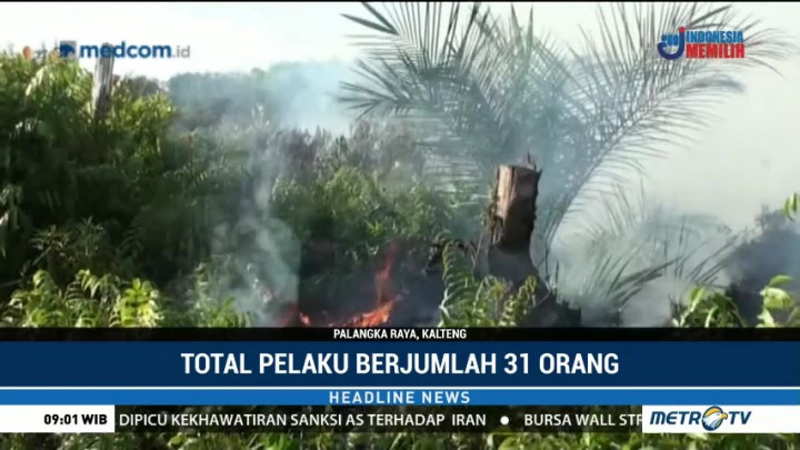 Polda Kalteng Tetapkan 31 Tersangka Pembakar Lahan